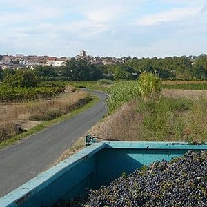 Coteaux du Libron